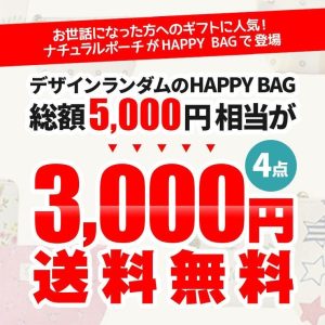 CIARA（ファッション） 福袋 2025 ポーチ 化粧ポーチ 小物入れ おしゃれ レディース 雑貨 4点 30代 40代 50代 中身 ギフト tdm プチ 職場 秋